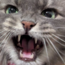 a cat with its mouth open and it's mouth wide open