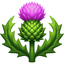 scottish thistle random