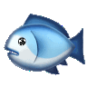 a blue and white fish on a black background