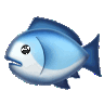 a blue and white fish on a black background
