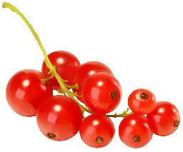 red currants random