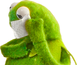 kermit cry random