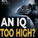 an image of a bird with the words can i too high?