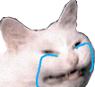 sob cat random