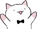 catyay random