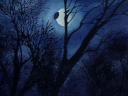 a painting of a bird sitting on a tree branch at night