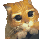 please intensifies random