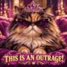 princessdonut outrage dungeoncrawlercarl random