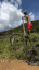 tuff aura mountainbiking dog random