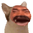 pop cat kek random