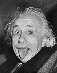 albert einstein random
