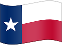 texas flag random