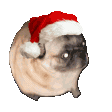 dance christmas pug random