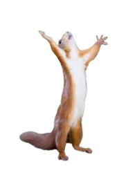 hallelujah random