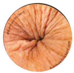 butt hole random
