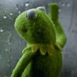 kermit random