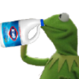 kermit random