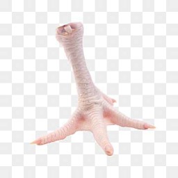 chickenfoot random